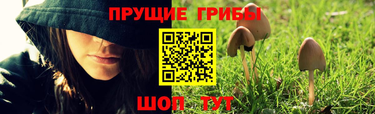 Ликино-Дулёво  Галлюциногенные грибы Psilocybine cubensis  Псилоцибиновые грибы мухоморы  Вход с VPN 